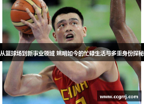 从篮球场到新事业领域 姚明如今的忙碌生活与多重身份探秘