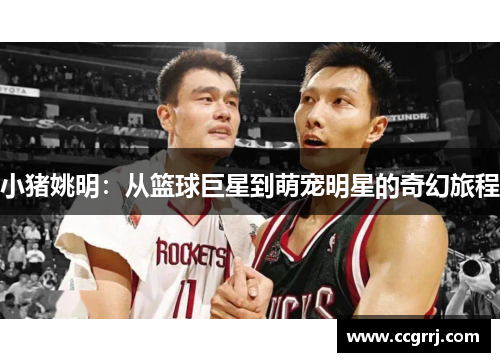 小猪姚明：从篮球巨星到萌宠明星的奇幻旅程
