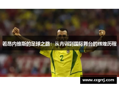 若昂内维斯的足球之路：从青训到国际舞台的辉煌历程